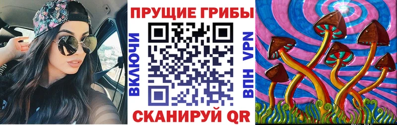 гидра ССЫЛКА  где можно купить наркотик  Владикавказ  Галлюциногенные грибы ЛСД 