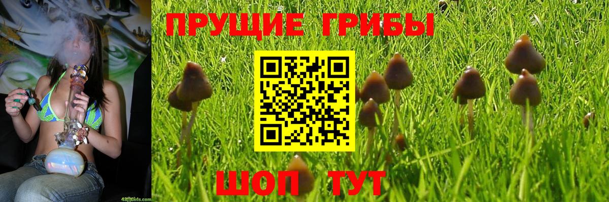 Владикавказ  Галлюциногенные грибы MAGIC MUSHROOMS  Вход с VPN 