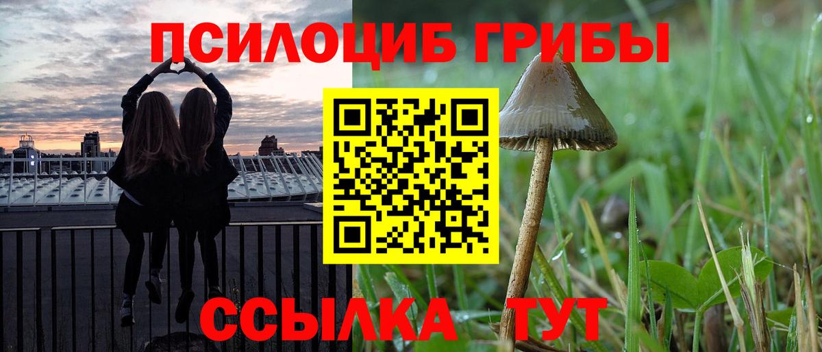 Псилоцибиновые грибы MAGIC MUSHROOMS  Владикавказ 