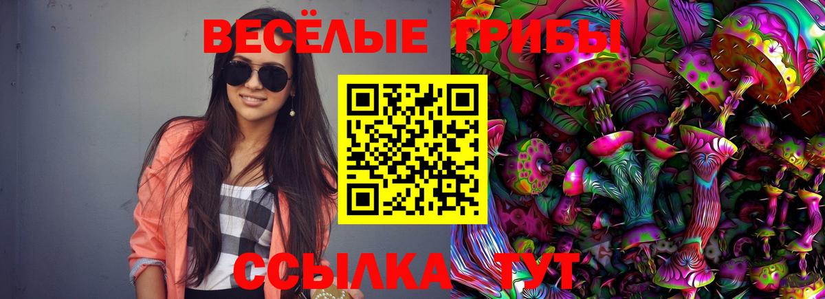 Галлюциногенные грибы Psilocybe Владикавказ