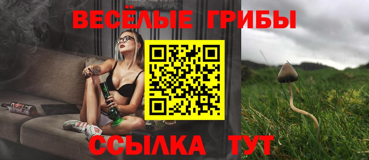 Галлюциногенные грибы мухоморы Владикавказ